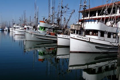 boatssf2.jpg