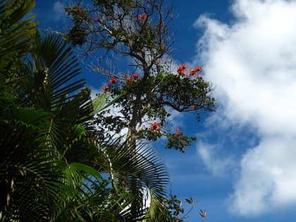 kailuasky.jpg